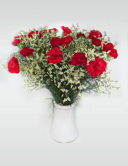 clavel rojo