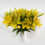 LILIUM AMARILLO_reto