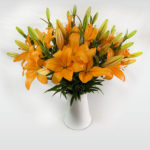 LILIUM NARANJA_reto