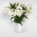 azucena_longuiflorum