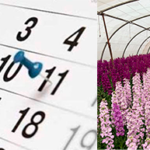 Calendario flor de temporada
