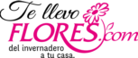logo_tellevoflores